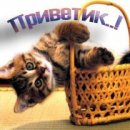 Катруся Поцілуйко фотография #18 (источник - https://vk.com/id57288733)