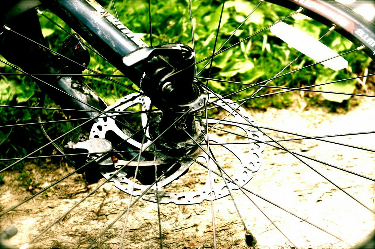 Антон Веселов фотография #8