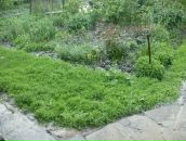 Соломія Юрченко фотография #48 (источник - https://vk.com/id80727518)