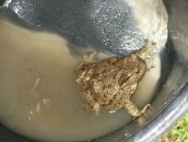 Іван Ковальчук фотография #26 (источник - https://vk.com/id86068121)