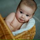 Фотография Соловьева Григория