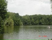 Дмитрий Ерохин фотография #23 (источник - https://vk.com/id77308762)