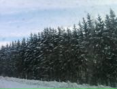 Фотография Вороновой Юлии