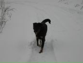 Виктор Ємець фотография #40 (источник - https://vk.com/id35676355)