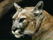 Фотография Яшниковой Ирины