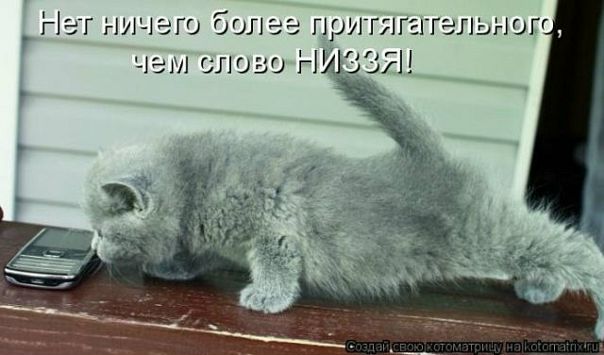 Александр Поляков фото №43