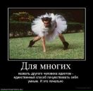 Фотография Андреева Александра