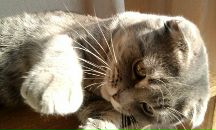 Фотография Барсуковой Лены