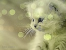 Іваночка Пачківська фотография #29 (источник - https://vk.com/id132635745)