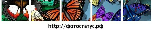 Марія Петрина фотография #15 (источник - https://vk.com/id131727323)