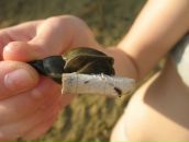 Фотография Гайнутдиновой Дарьи