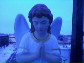 Світлана Комарницька фотография #38 (источник - https://vk.com/id116782016)