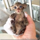 Фотография Лекаревой Али