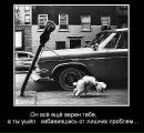 Владимир Амплеев фотография #11 (источник - https://vk.com/id10189808)