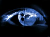 Фотография Плешивых Дмитрия