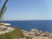 Віталік Ганич фотография #42 (источник - https://vk.com/id94850493)