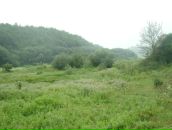 Віталік Кот фотография #36 (источник - https://vk.com/id95295007)