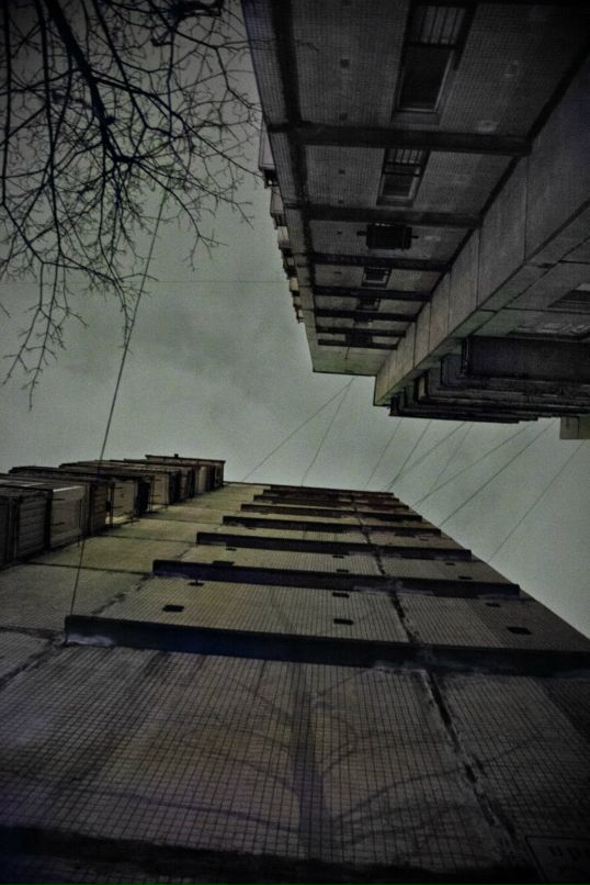 Пелот Петроченко фотография #42