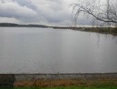 Фотография Тарасовой Татьяны