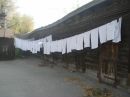 Осень Вечна фотография #9 (источник - https://vk.com/id17876194)
