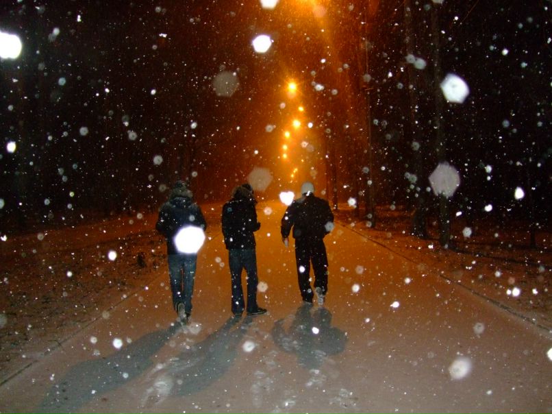 Дмитрий Комаревцев фотография #17