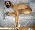 Каріна Верховська фотография #13 (источник - https://vk.com/id74880313)