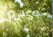 Іван Костюк фотография #19 (источник - https://vk.com/id140499382)