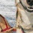 Андрій Баторик фотография #36 (источник - https://vk.com/id49054076)