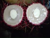 Дмитрий Михеенко фотография #46 (источник - https://vk.com/id553521)