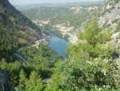 Света Бугера фотография #48 (источник - https://vk.com/id420747)