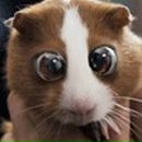 Фотография Салиховой Диляры