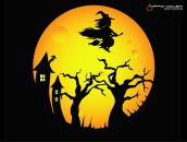 Фотография Кооль Ирины