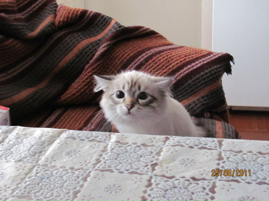 Артём Рогачёв фотография #8