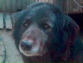 Фотография Хафизовой Эндже