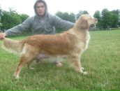 Діма Шевчук фотография #21 (источник - https://vk.com/id42200010)