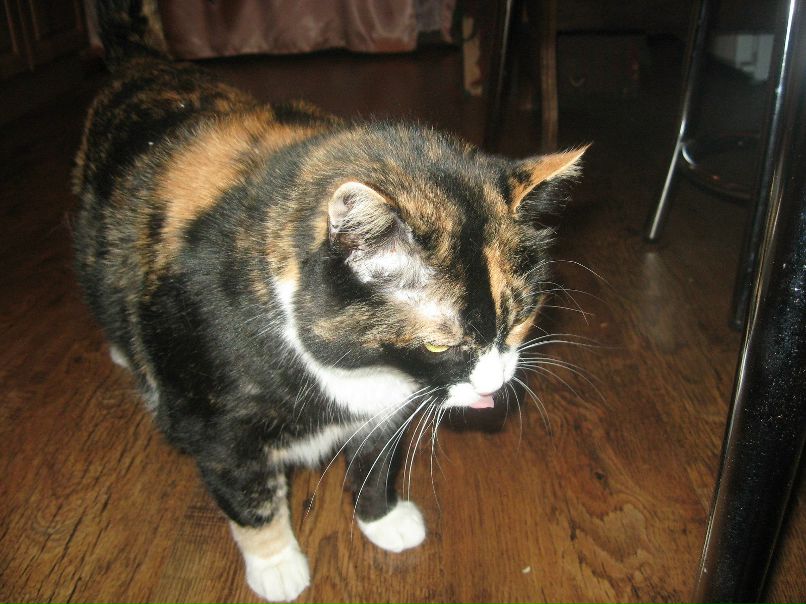 Дима Дмитриев фотография #42