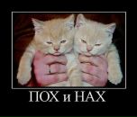 Антон Бабуцкий фотография #34 (источник - https://vk.com/id1267720)