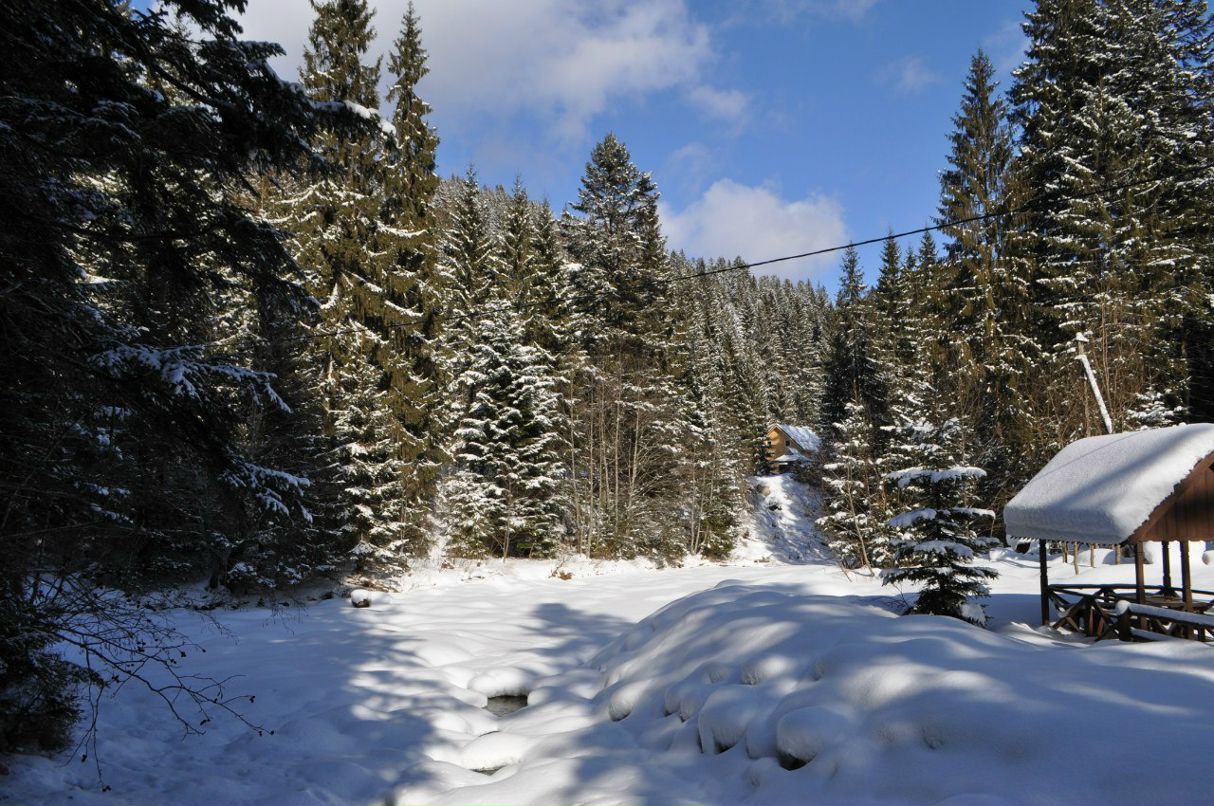 Сергей Левковский фотография #36