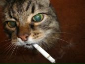 Діма Василець фотография #6 (источник - https://vk.com/id171853844)