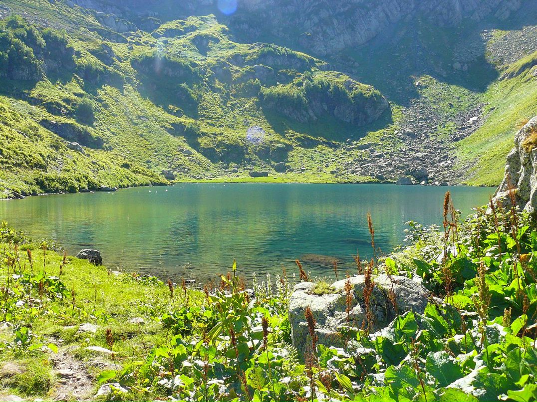 Дмитрий Рочев фотография #35