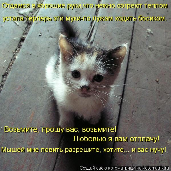 №18, Семён Sobol, Барановичи №18, Семён Sobol, Барановичи