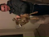 Ігор Бурмагін фотография #14 (источник - https://vk.com/id85895476)