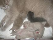 Фотография Фроловой Людмилы