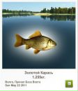 Євген Мішустін фотография #6 (источник - https://vk.com/id20056123)