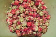 Фотография Усовой Светланы