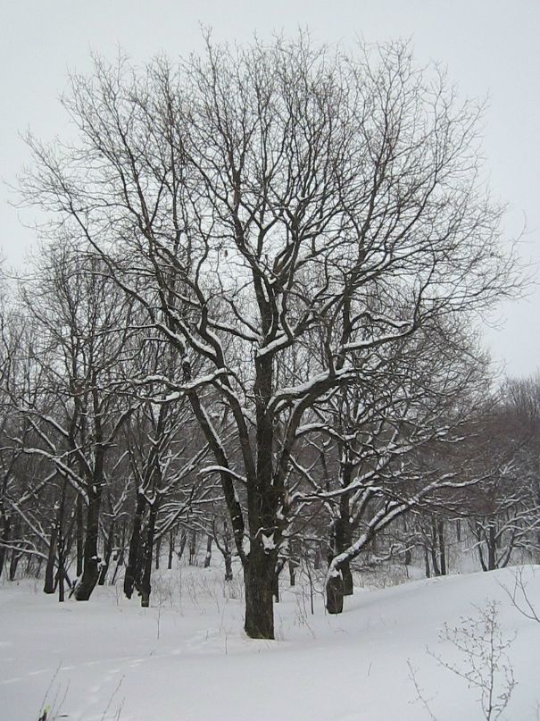 Дмитрий Козлов фотография #28