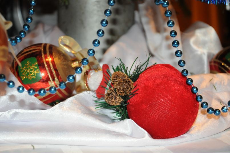 Дарина Поляк фотография #28