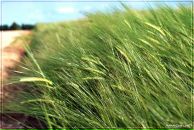 Евгений Сивец фотография #13 (источник - https://vk.com/id3779331)