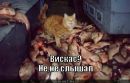 Вячеслав Глинин фотография #16 (источник - https://vk.com/id167862473)