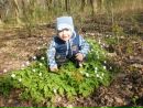 Світлана Тернопільська фотография #9 (источник - https://vk.com/id163949077)